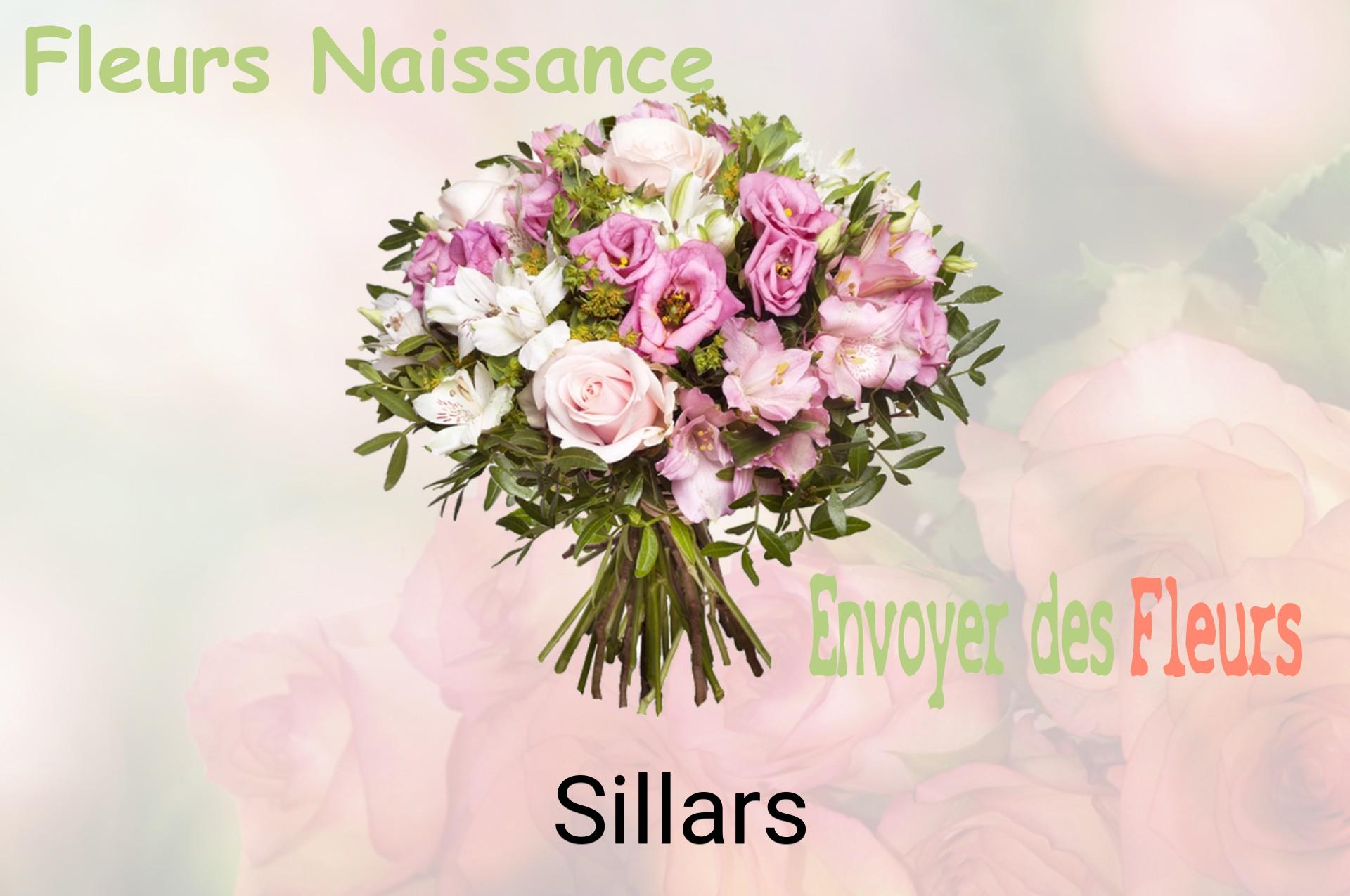 Bouquet de fleurs de naissance livré à Sillars