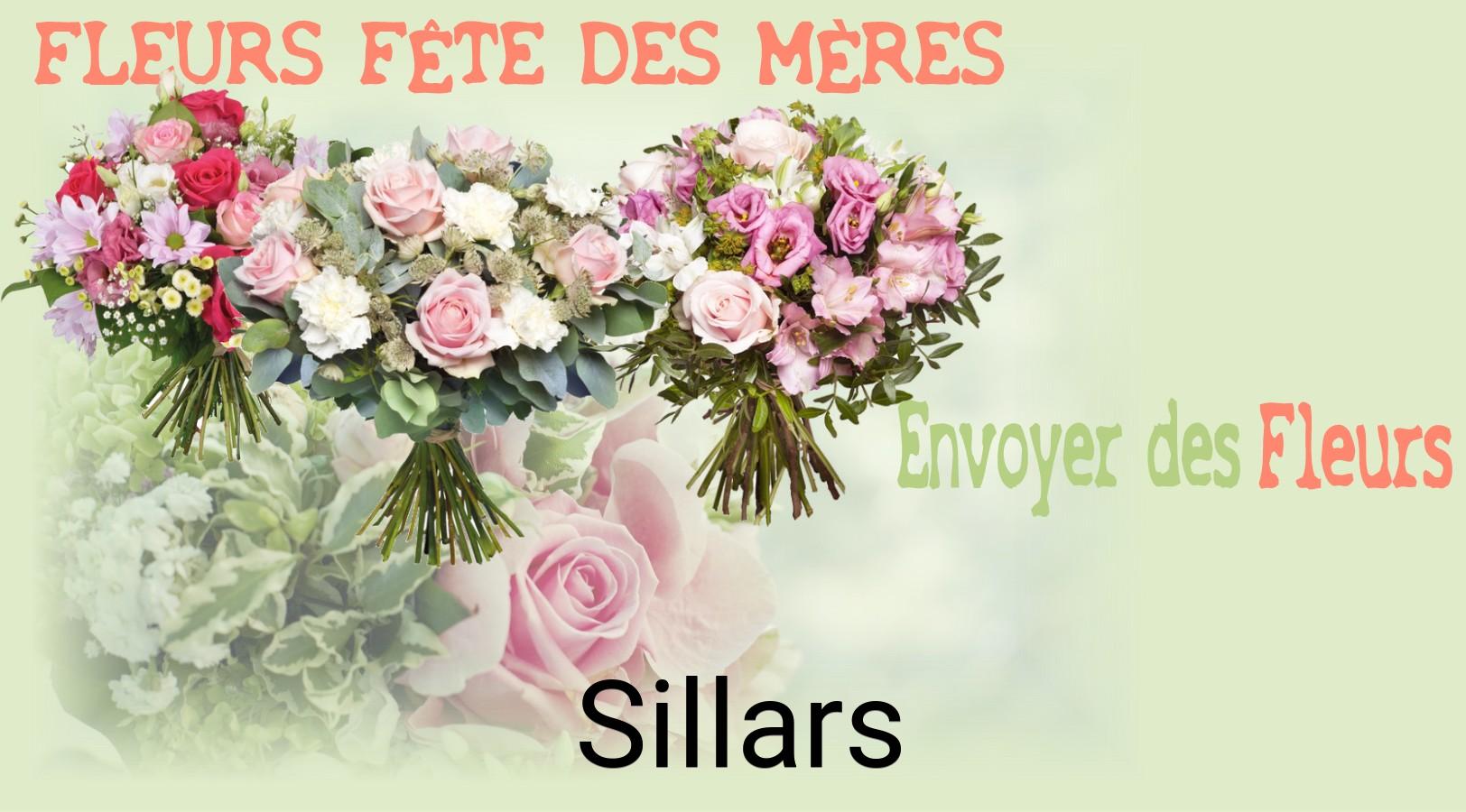 Bouquet de Fête des Mères livré à Sillars